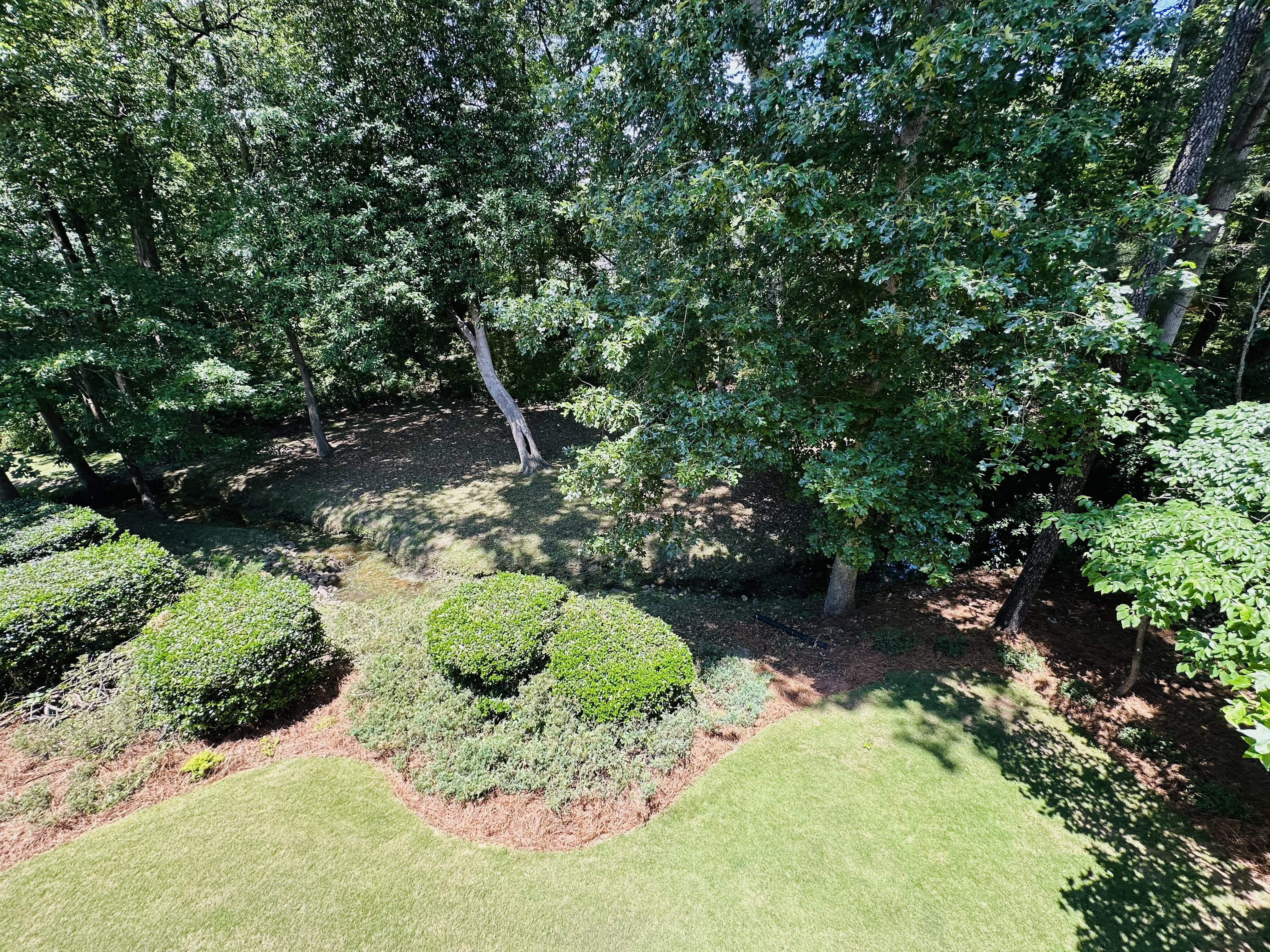 Backyard — Wooded Green Belt