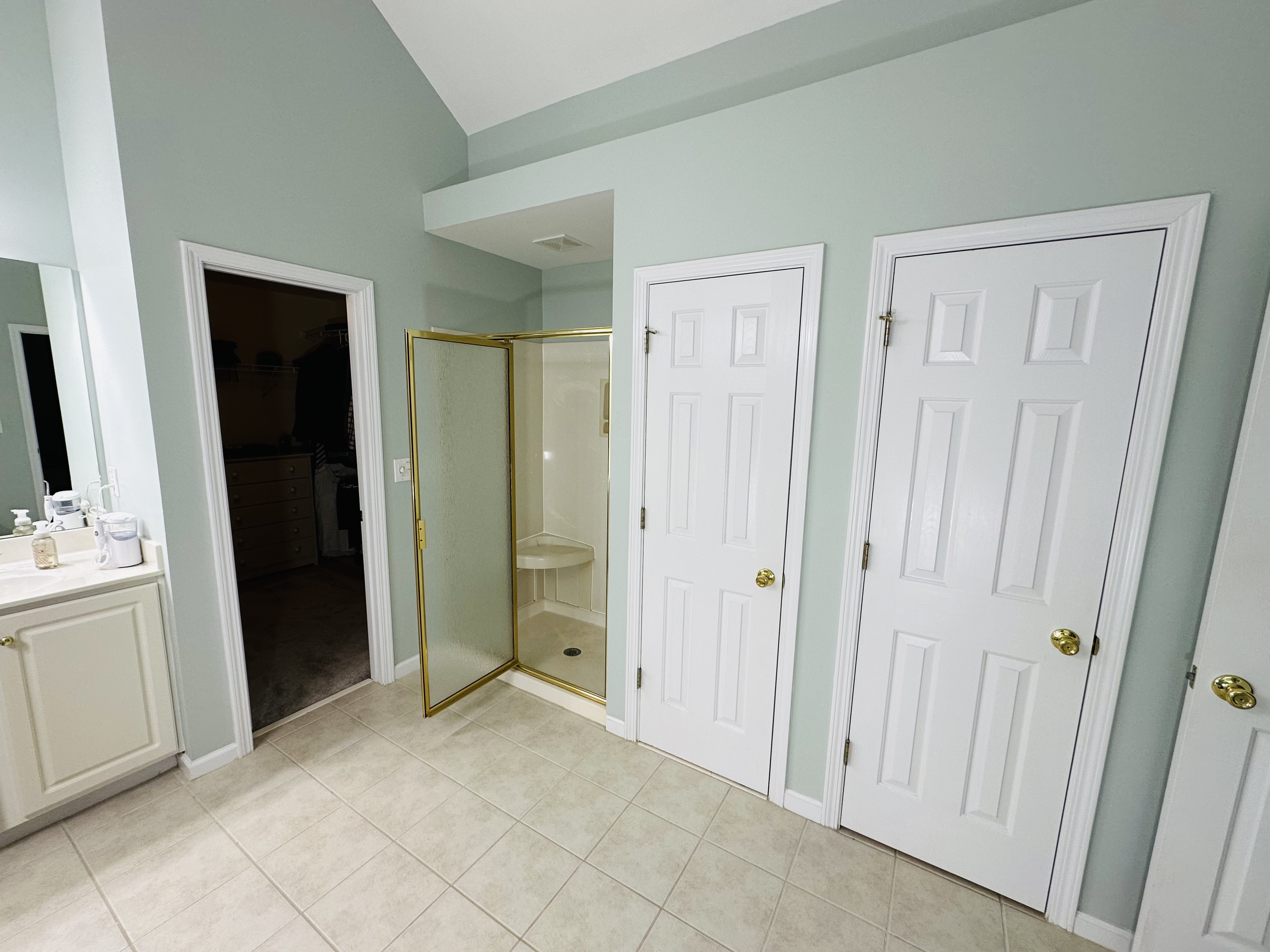 Walk-In Shower & Vanity